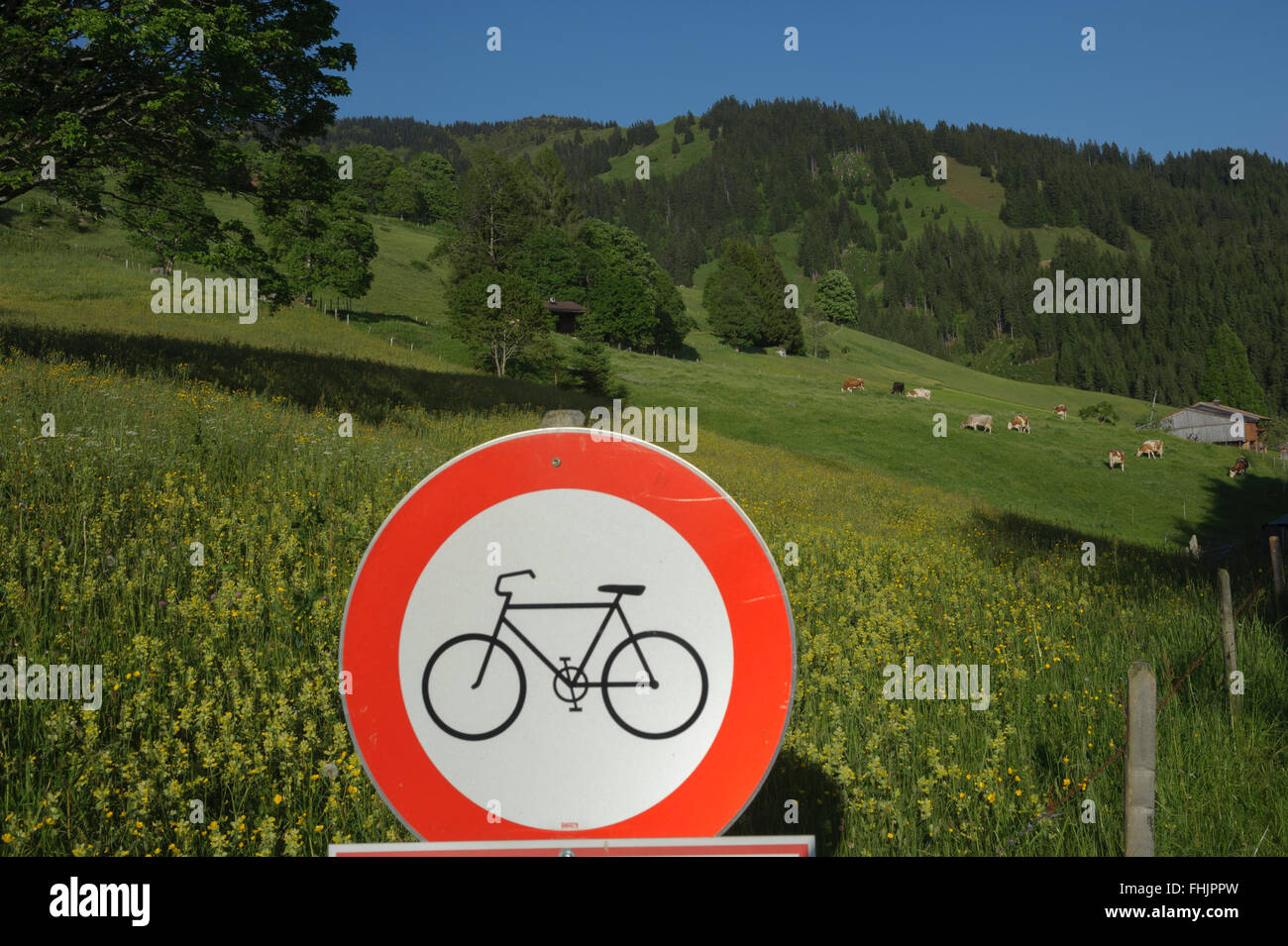 No ciclismo road sign. Oberaigen. Kitzbühel Kitzbühel. Austria Foto Stock