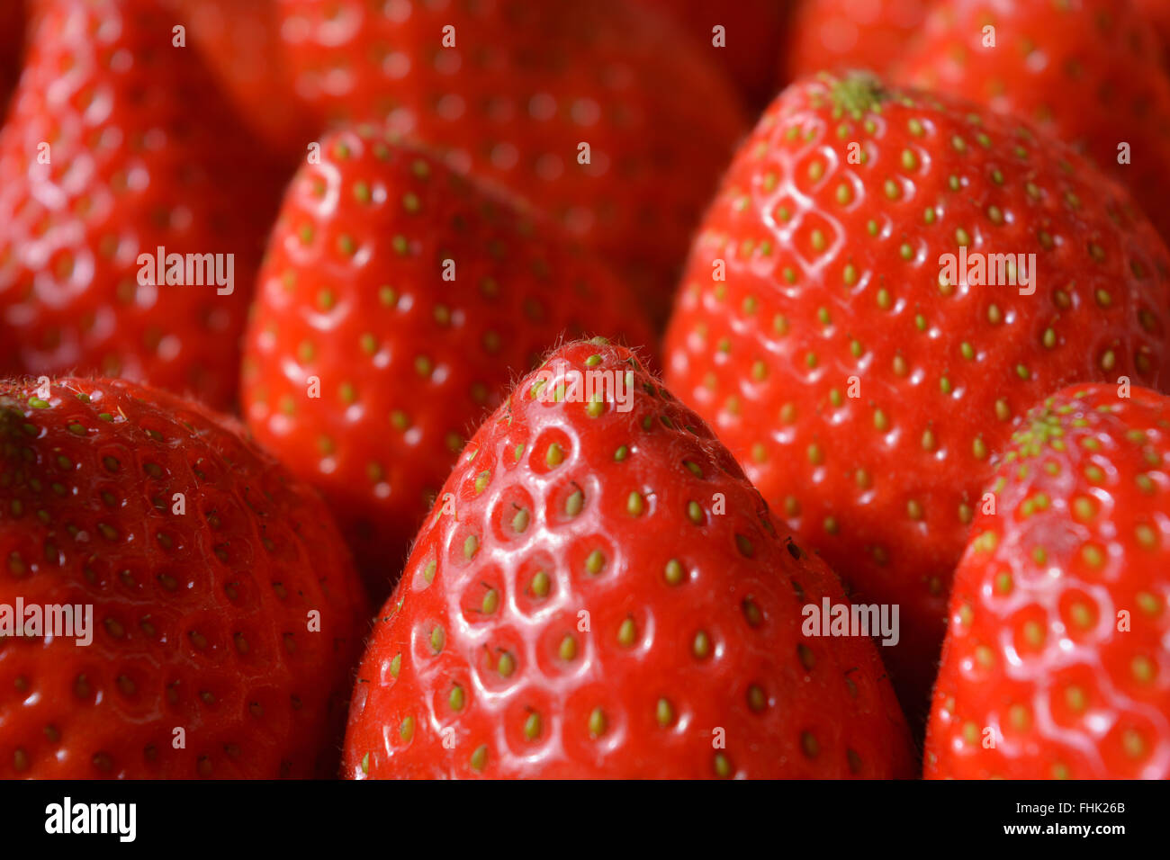 Fragole, close-up. Foto Stock