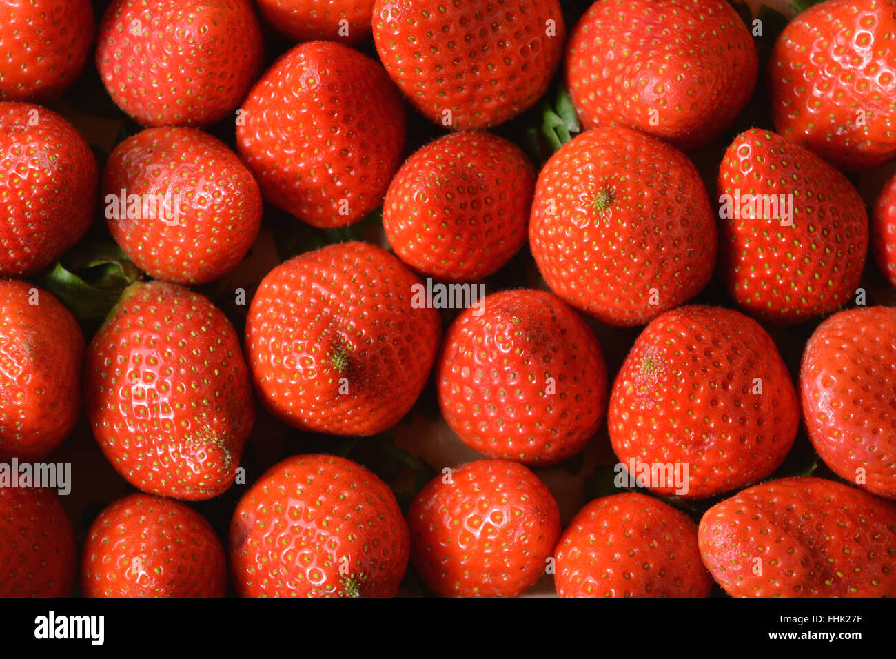 Fragole Foto Stock
