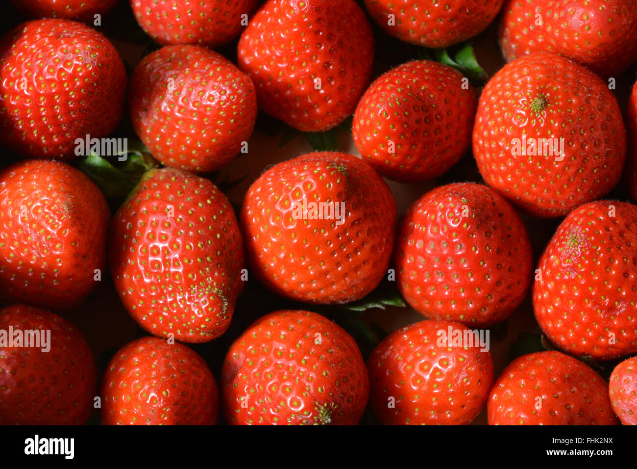 Fragole Foto Stock