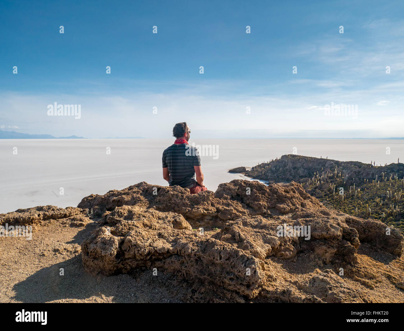 Isla del Pescado in middel del Salar de Uyuni Foto Stock