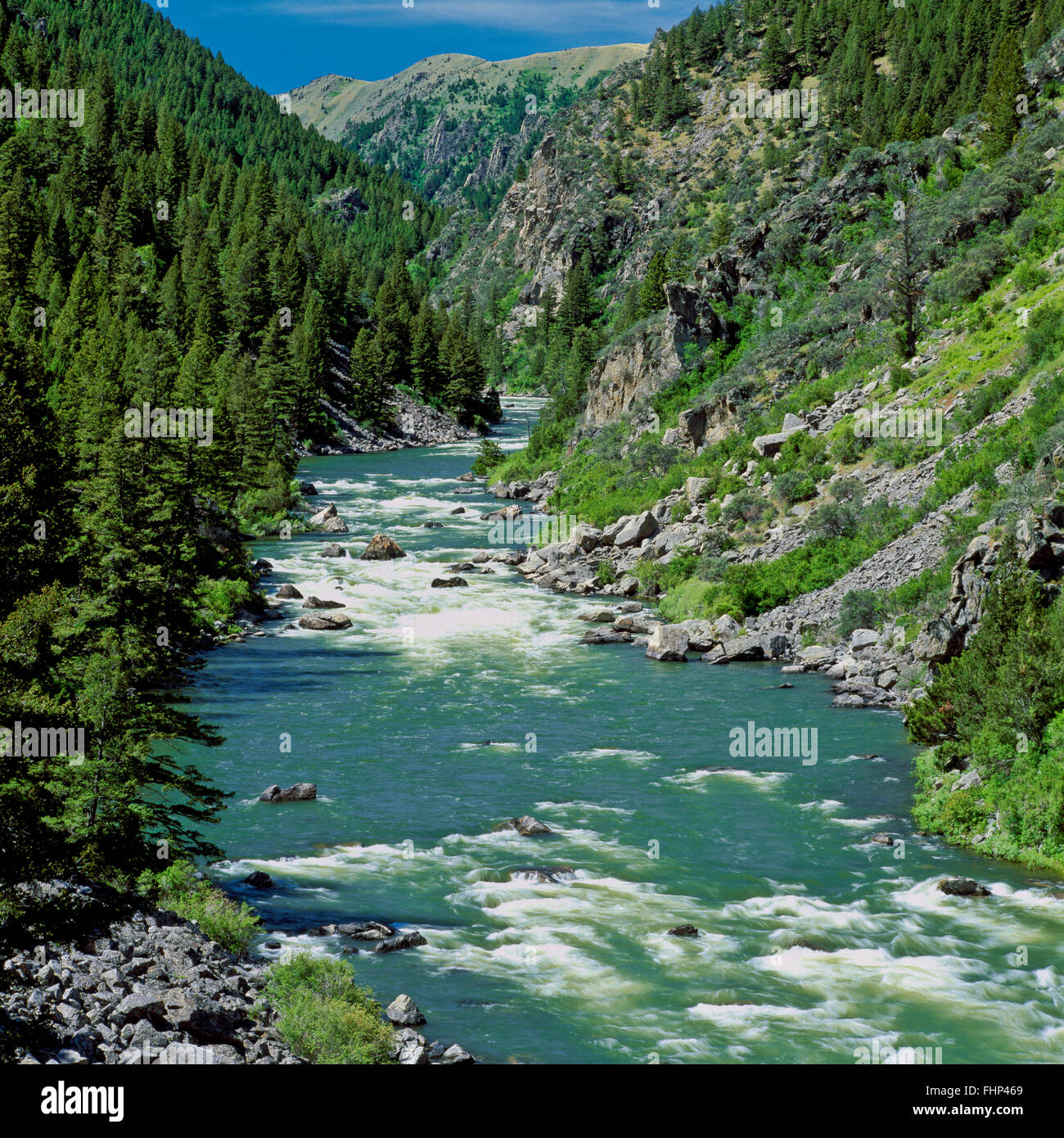 Madison nel fiume beartrap canyon di lee metcalf deserto vicino a norris, montana Foto Stock