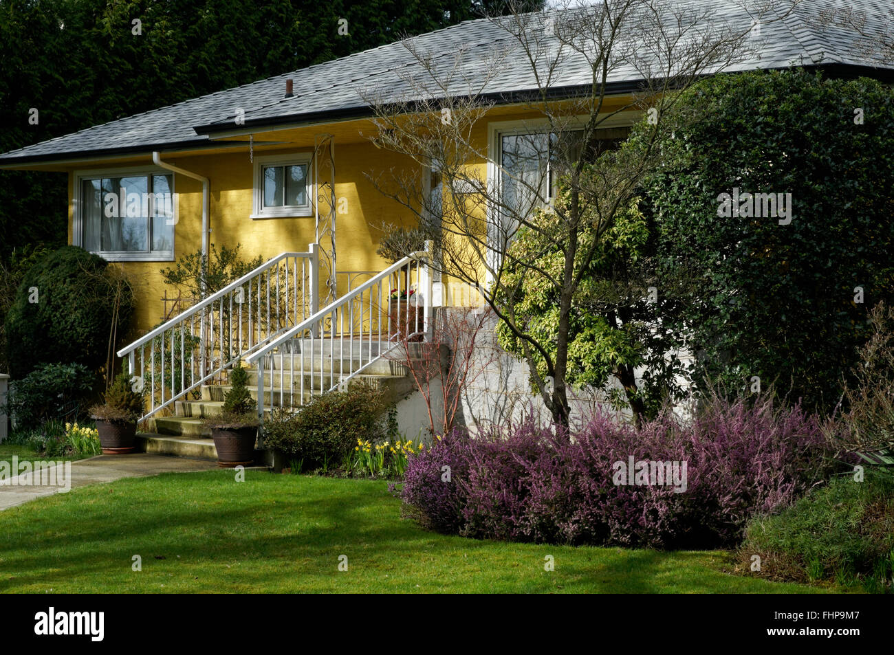 I vecchi giallo staccato bungalow con grazioso cortile anteriore all'inizio della primavera, Vancouver, BC, Canada Foto Stock