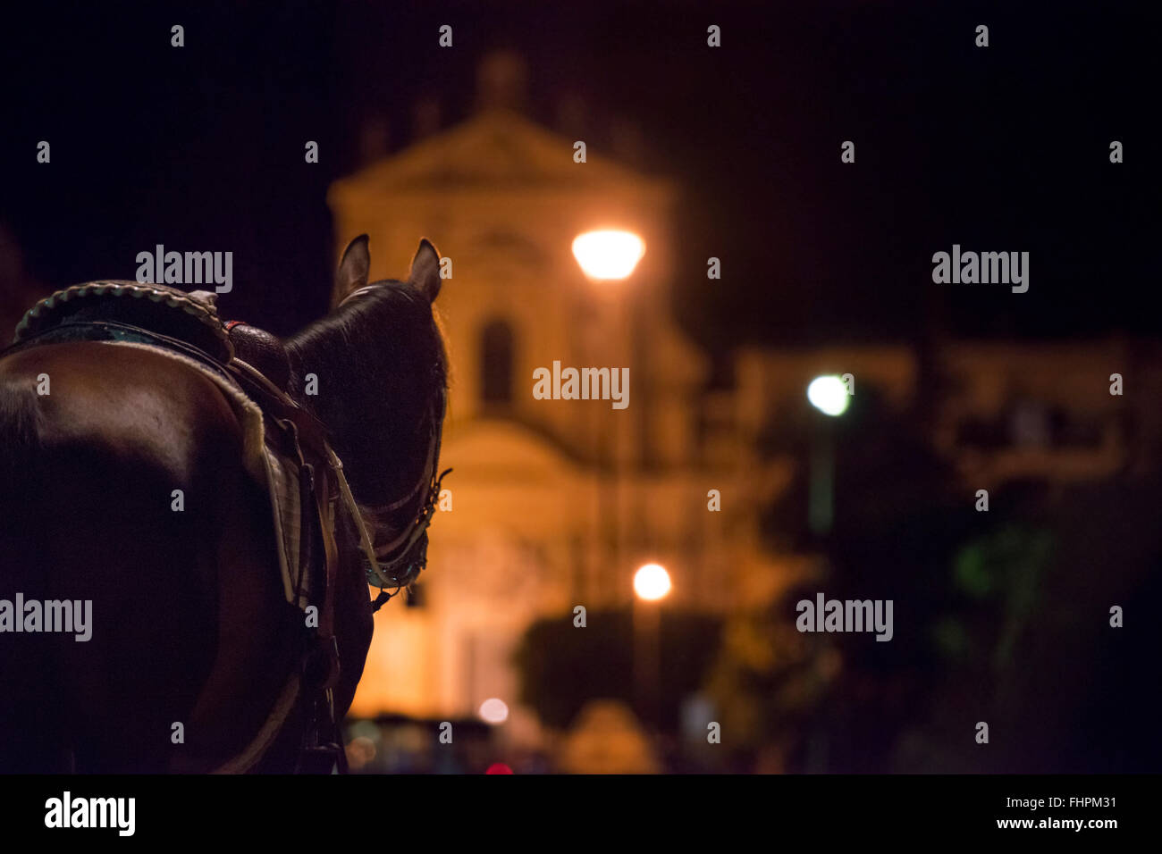 Cavalli in attesa di notte a Palermo Foto Stock