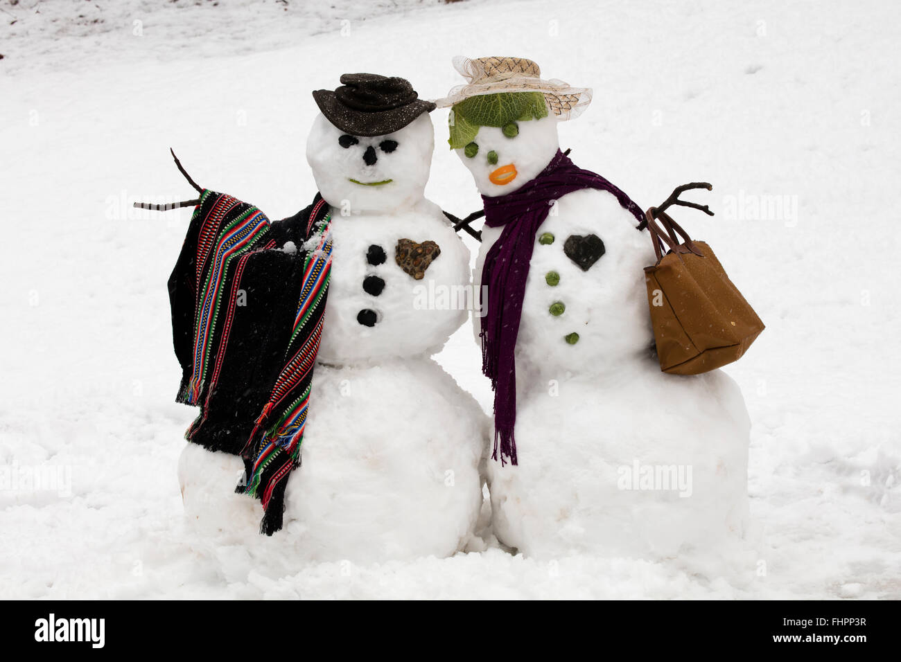 Neve giovane, area di Washington DC, dopo la tempesta di neve Foto Stock