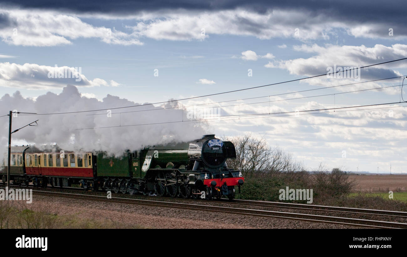 Il Flying Scotsman treno a vapore sulla sua esecuzione inaugurale tra Londra King's Cross e York il 25 febbraio 2016 Foto Stock