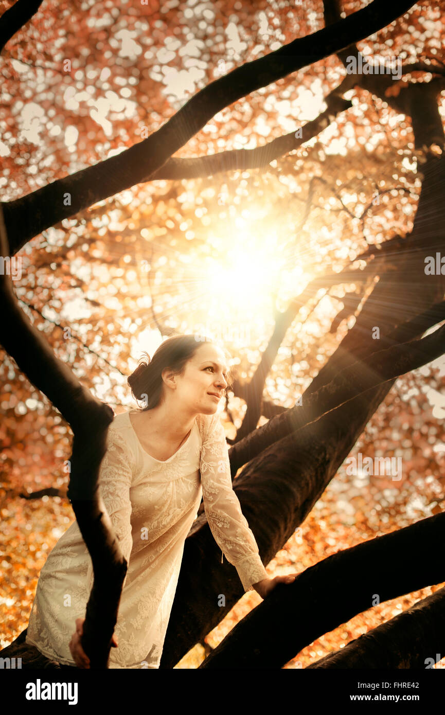Giovane bella donna seduta sul ramo di albero Foto Stock