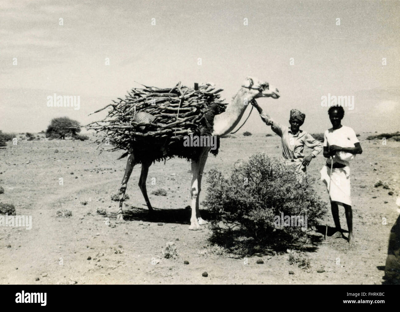 Carico di cammello, Africa Foto Stock