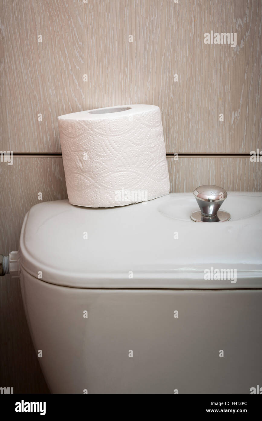 Un soft bianca IGIENICA Carta igienica rotolo viene messo sul filo, nel restroom Foto Stock