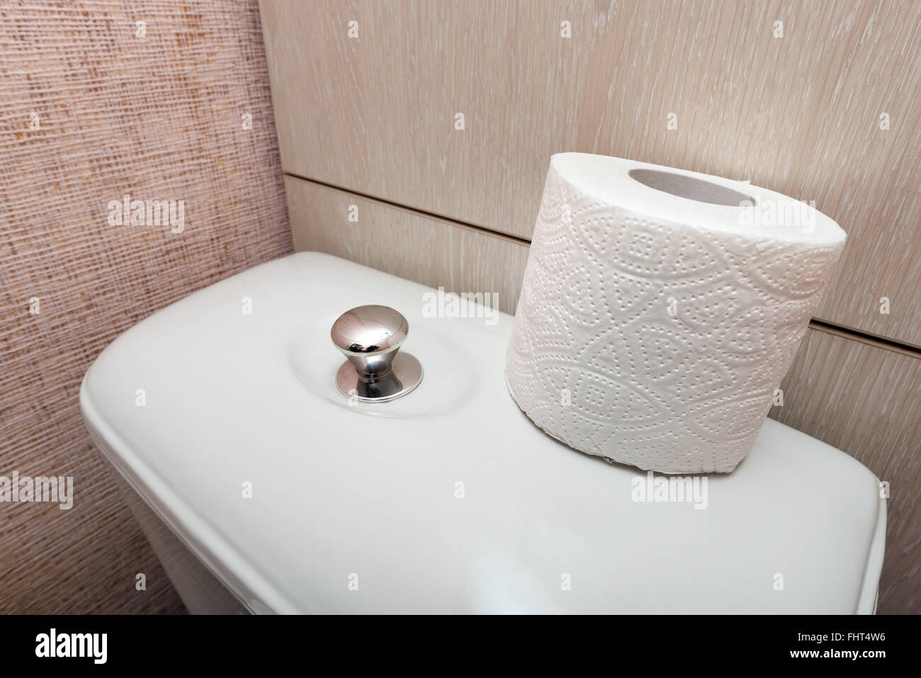 Un soft bianca IGIENICA Carta igienica rotolo viene messo sul filo, nel restroom Foto Stock
