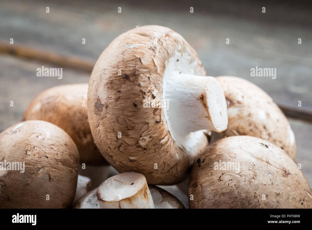 Primo piano della fresca bruna funghi champignon, Agaricus bisporus, su legno Foto Stock