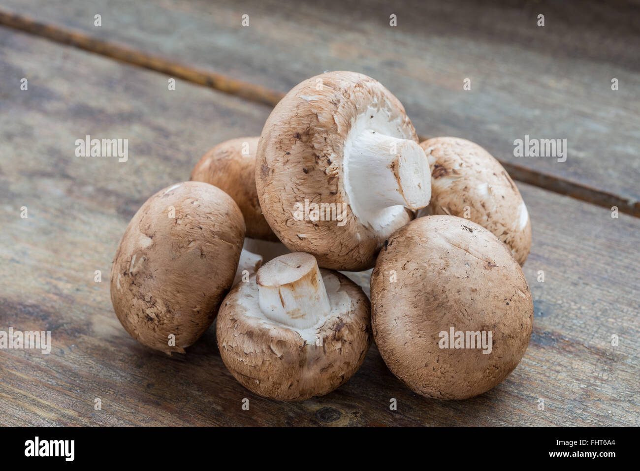 Fresca bruna funghi champignon, Agaricus bisporus, su legno Foto Stock