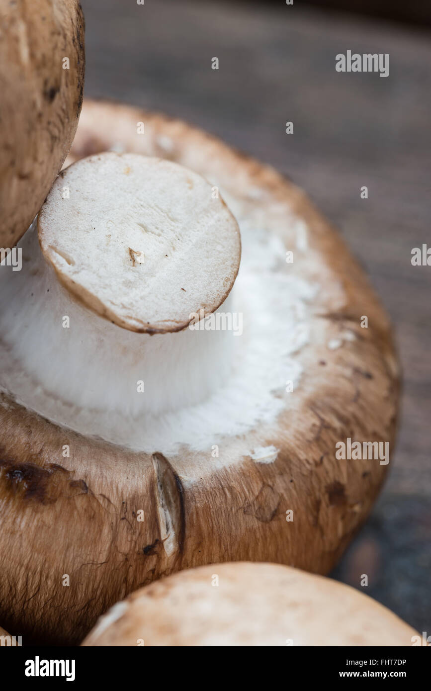 Macro di fresca bruna funghi champignon, Agaricus bisporus, su legno Foto Stock