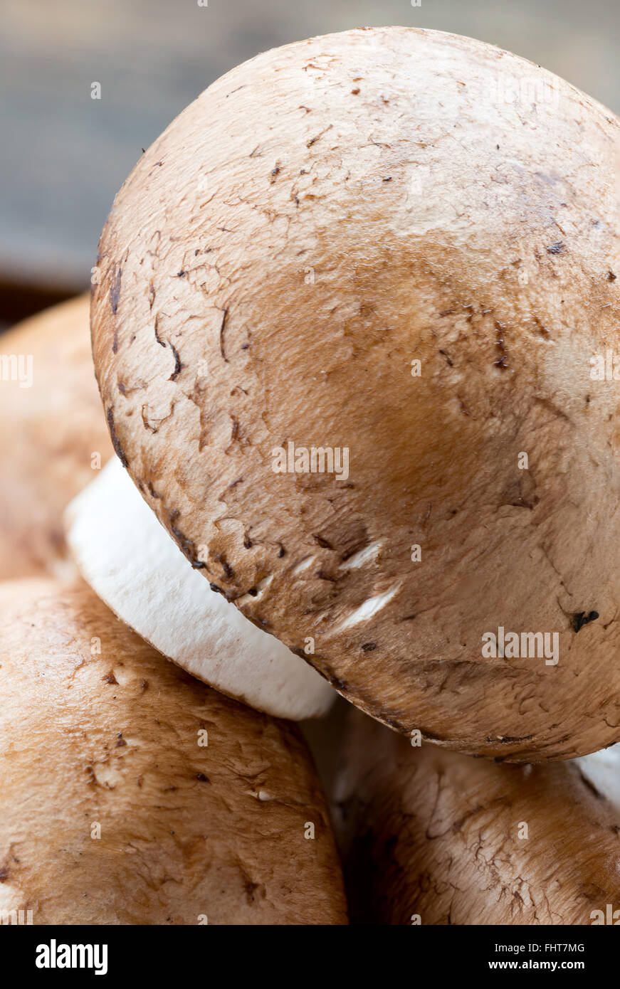 Macro di fresca bruna funghi champignon, Agaricus bisporus, su legno Foto Stock
