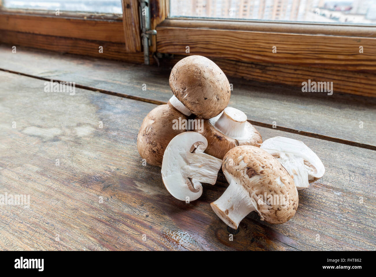 Primo piano della fresca bruna funghi champignon, Agaricus bisporus, sul legno, vicino alla finestra Foto Stock