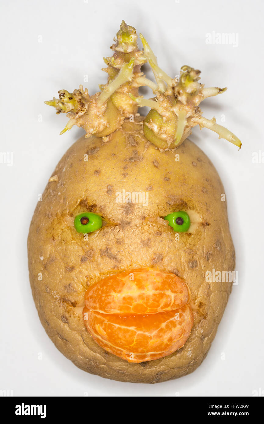 La germogliazione Potato Head con segmento mandarino labbra e pisello verde occhi Foto Stock
