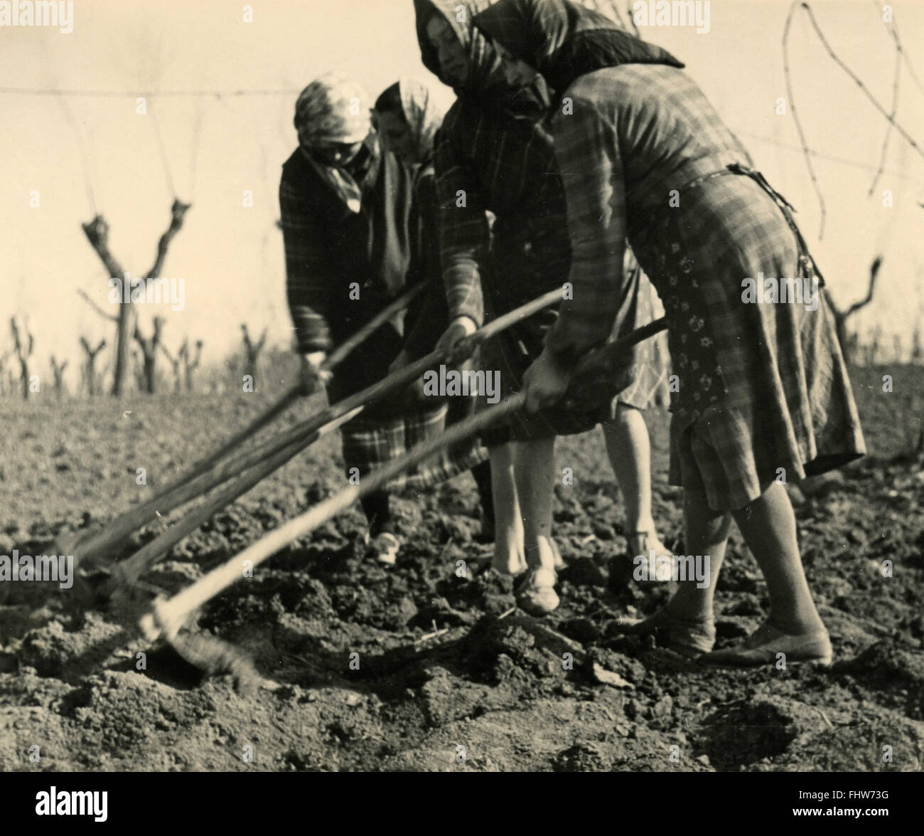 Donne zappando la terra a preparare il terreno per la coltivazione, Italia Foto Stock