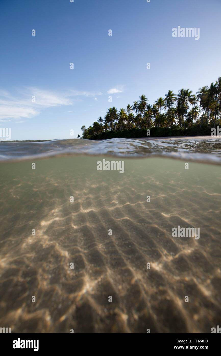 Tassimirim spiaggia con palme in background - Boipeba - Arcipelago Tinhare Foto Stock