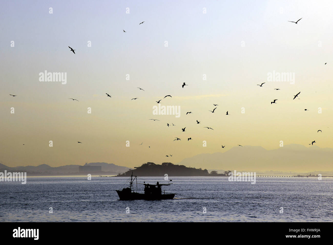 Stormo di uccelli e barche da pesca sulla baia di Guanabara al crepuscolo Foto Stock