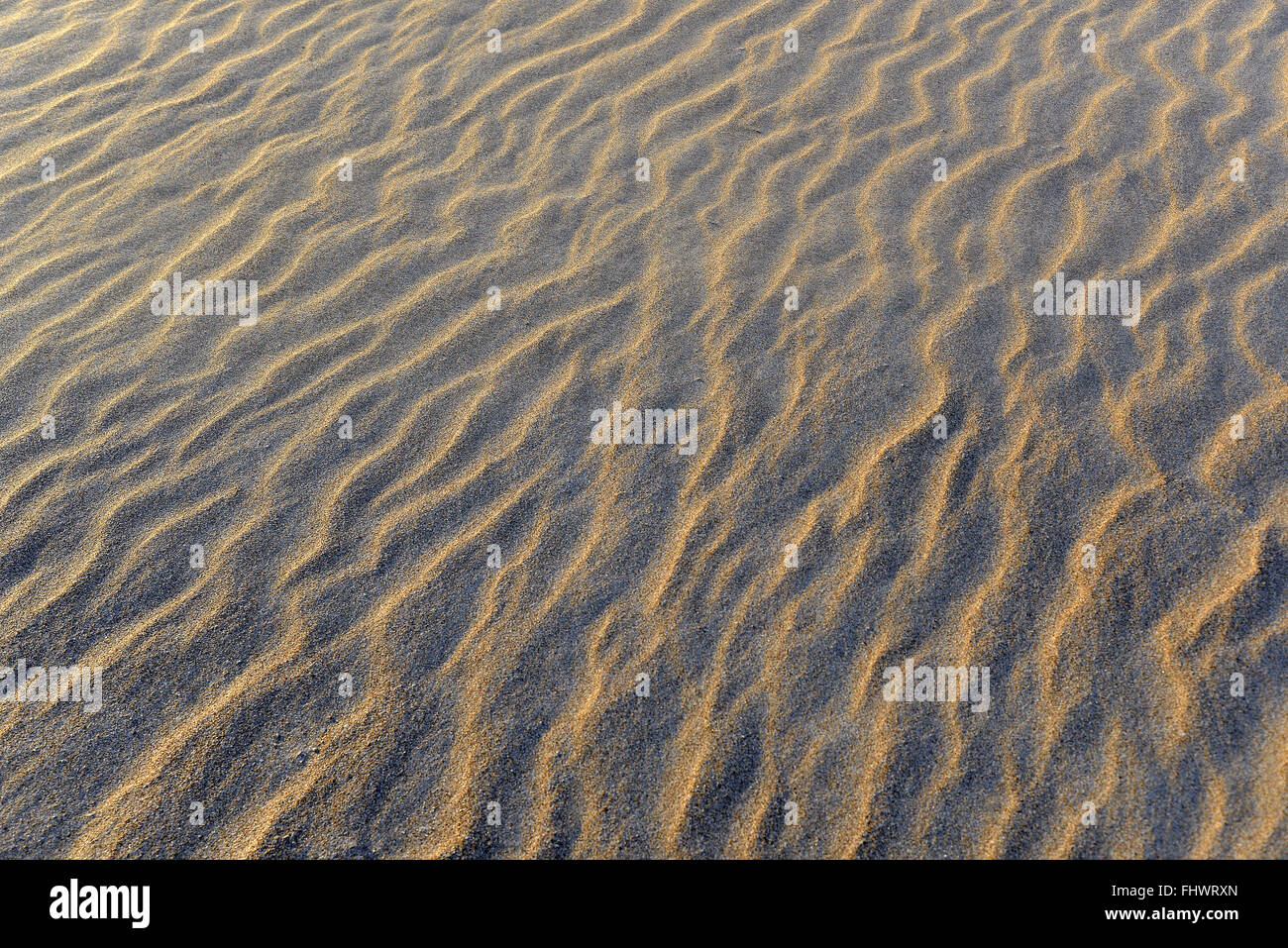 Disegni nella sabbia dalla spiaggia Geribá formata dal vento - Regione dei Laghi Foto Stock