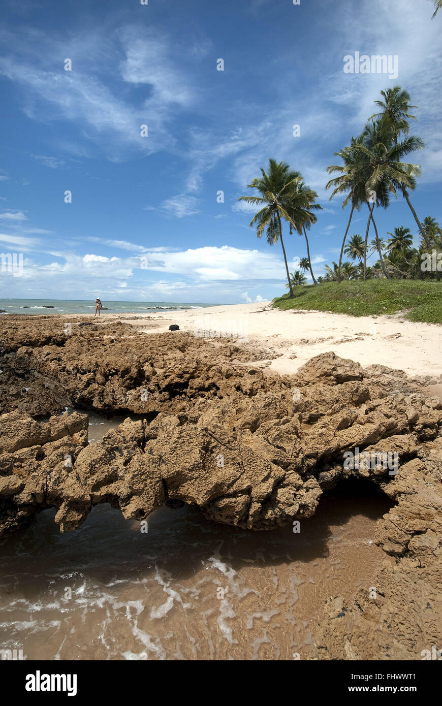 Formazione geologica in Coqueirinho Beach sulla costa sud di Paraiba Conde Foto Stock