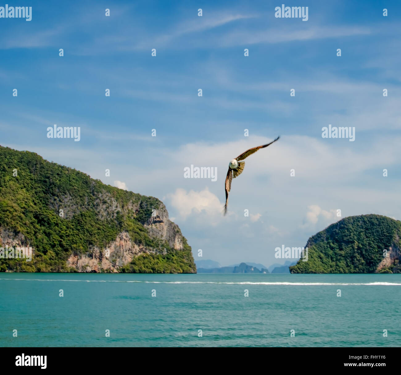 Un aquila volare sopra il mare delle Andamane Foto Stock