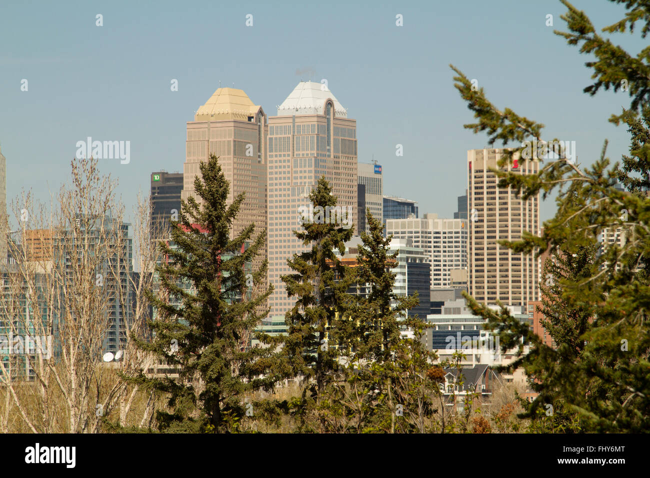 Il twin downtown Banker's Hall di grattacieli di Calgary, Alberta, Canada visto attraverso gli alberi di un parco nelle vicinanze. Foto Stock