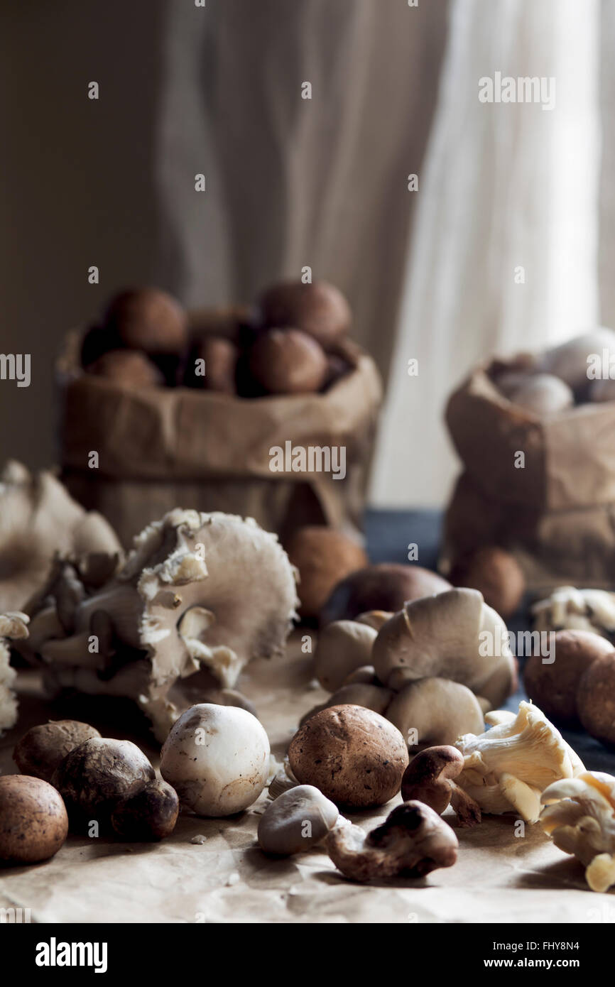 Funghi crudi Foto Stock