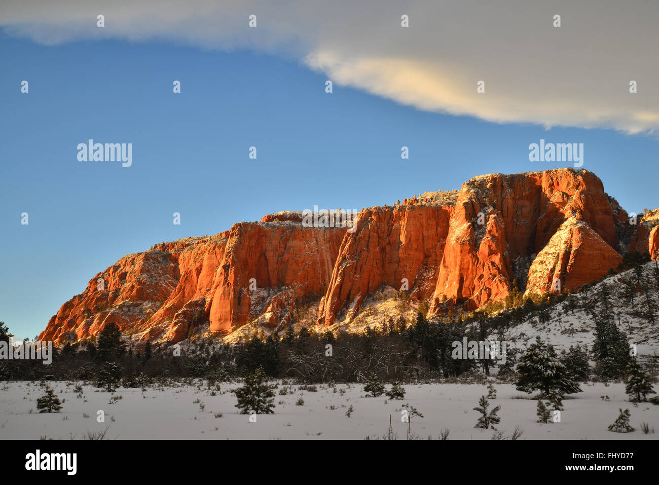 Scena invernale in alto paese lungo il serbatoio Kolob Road nel Parco Nazionale di Zion in a sudovest Utah Foto Stock