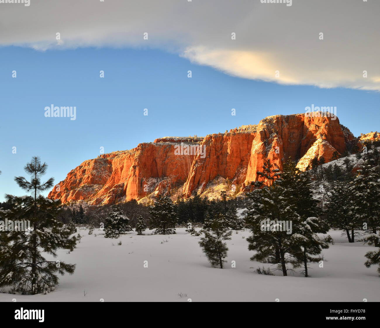 Scena invernale in alto paese lungo il serbatoio Kolob Road nel Parco Nazionale di Zion in a sudovest Utah Foto Stock