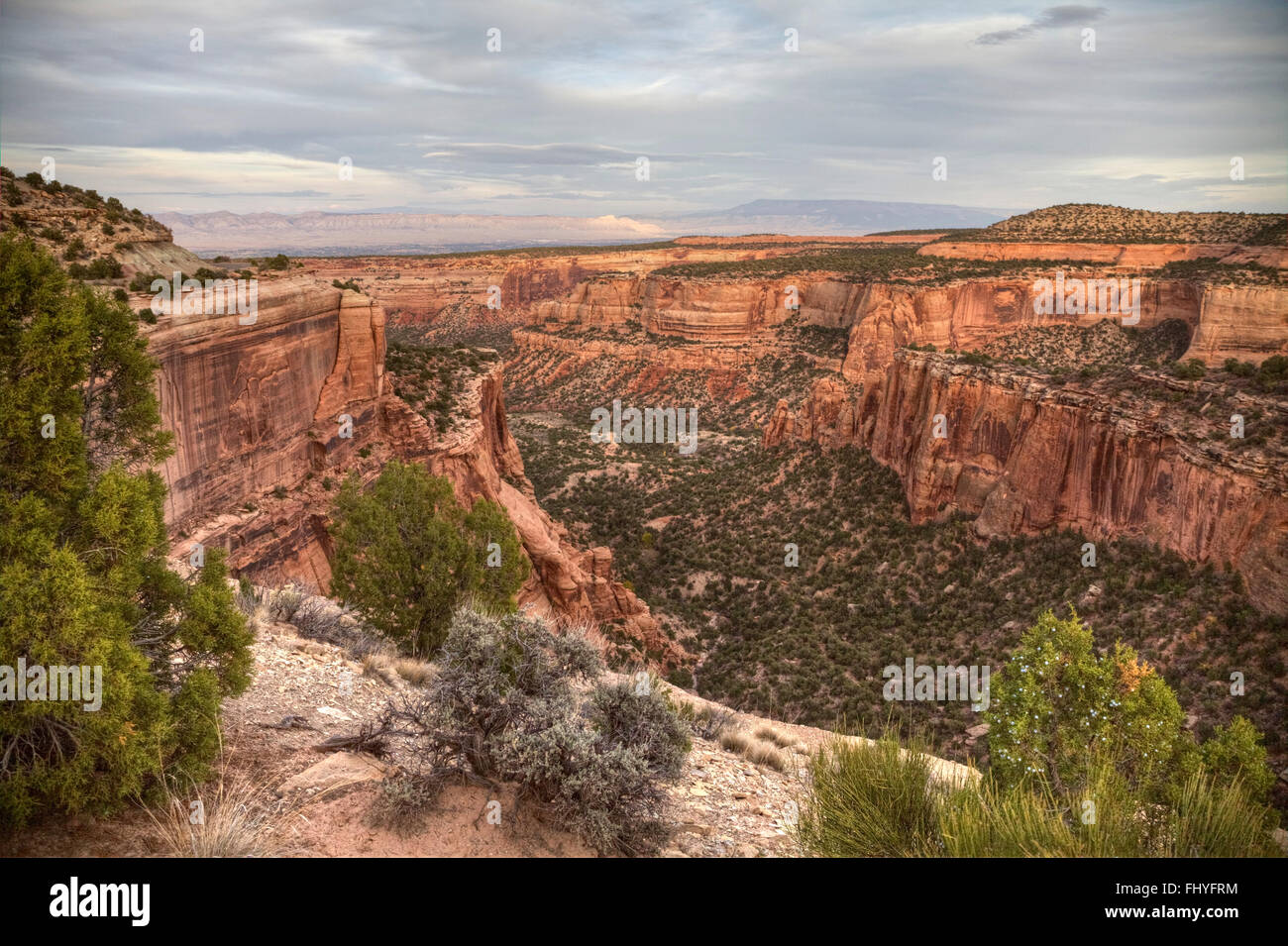 Un canyon in Colorado National Monument Foto Stock