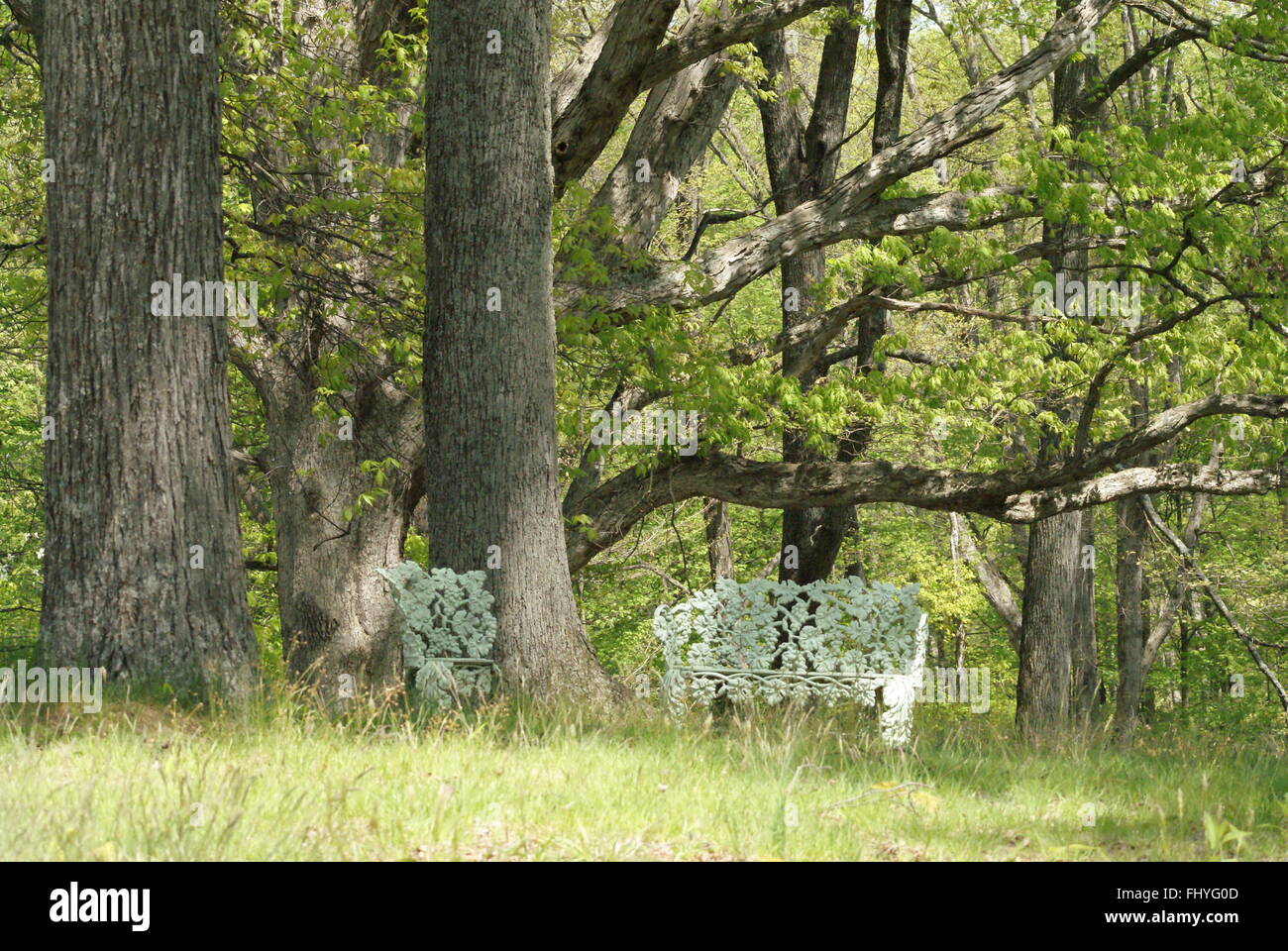 Metallo bianco mobili da esterno sotto la quiete degli alberi nei boschi. Foto Stock