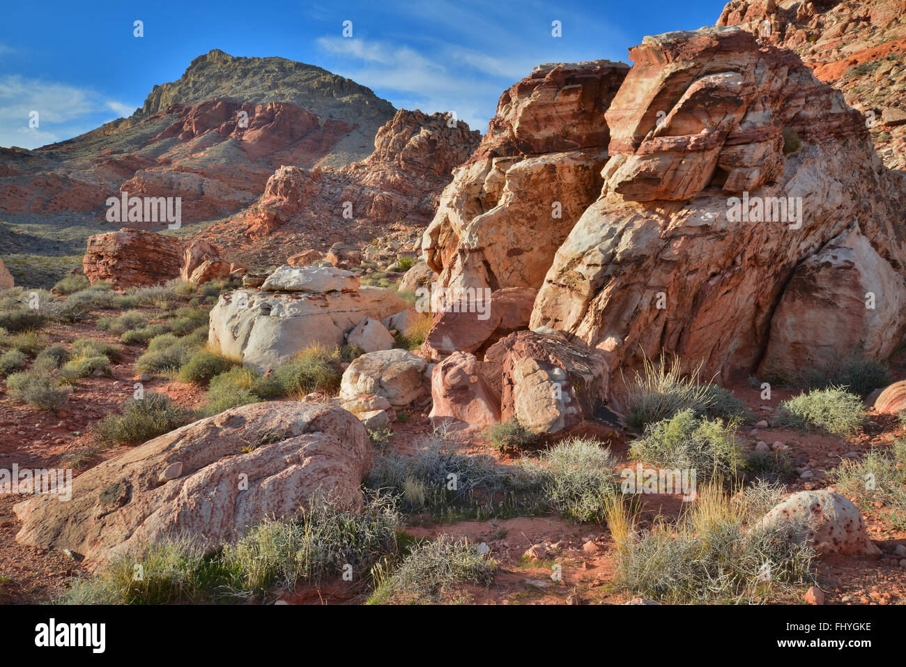 Serata al bacino di Calico e molla rossa vicino al Red Rock Canyon State Park e conservare a ovest di Las Vegas, Nevada Foto Stock