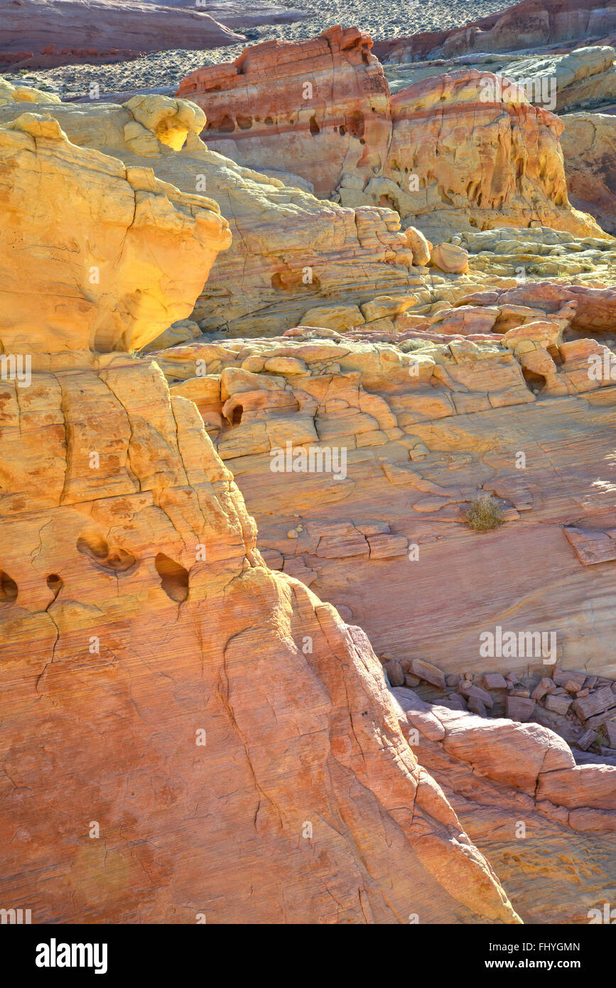 Colorate forme di arenaria e le forme della Valle di Fire State Park nel Sud-est in Nevada, a nord di Las Vegas Foto Stock