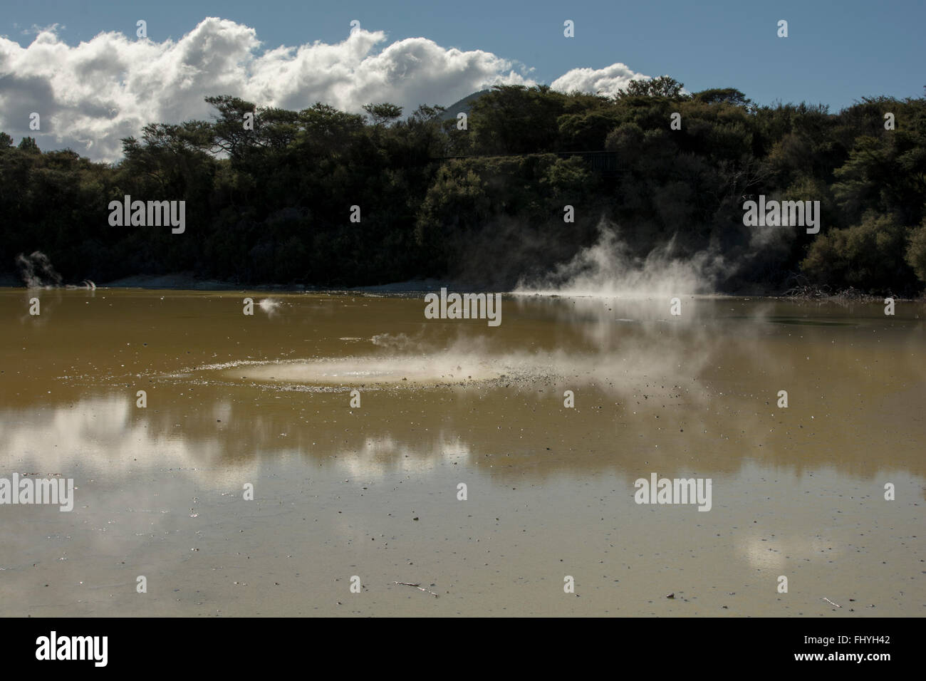 Lo Champagne è in piscina con 65 metri di diametro e 62 metri di profondità il più grande molla in Nuova Zelanda Wai-O-Tapu zona termale. Foto Stock