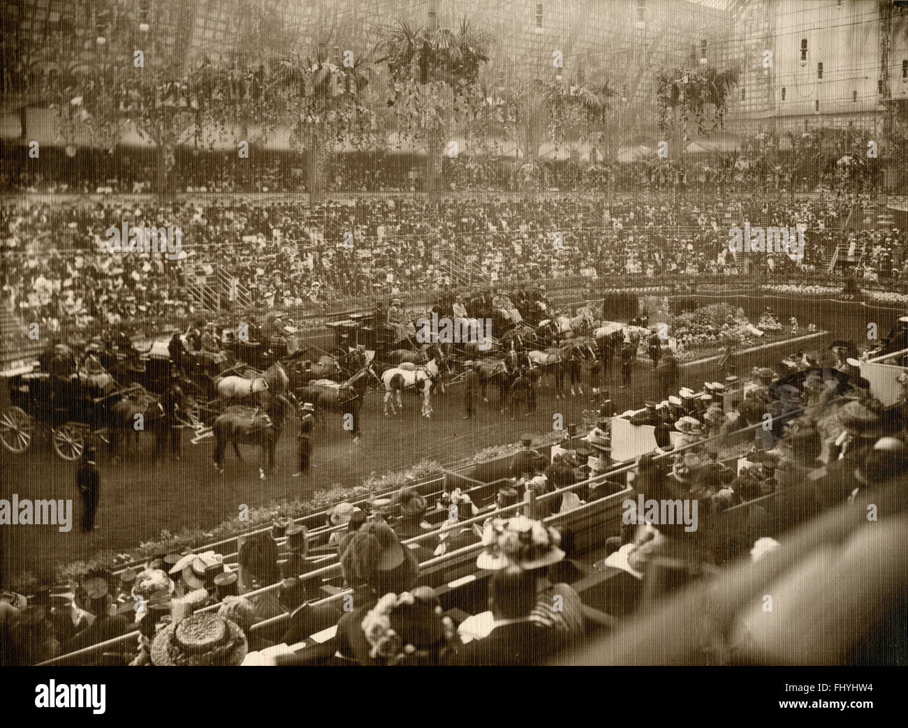 International Horse Show a Olympia, London, Regno Unito 1909 Foto Stock
