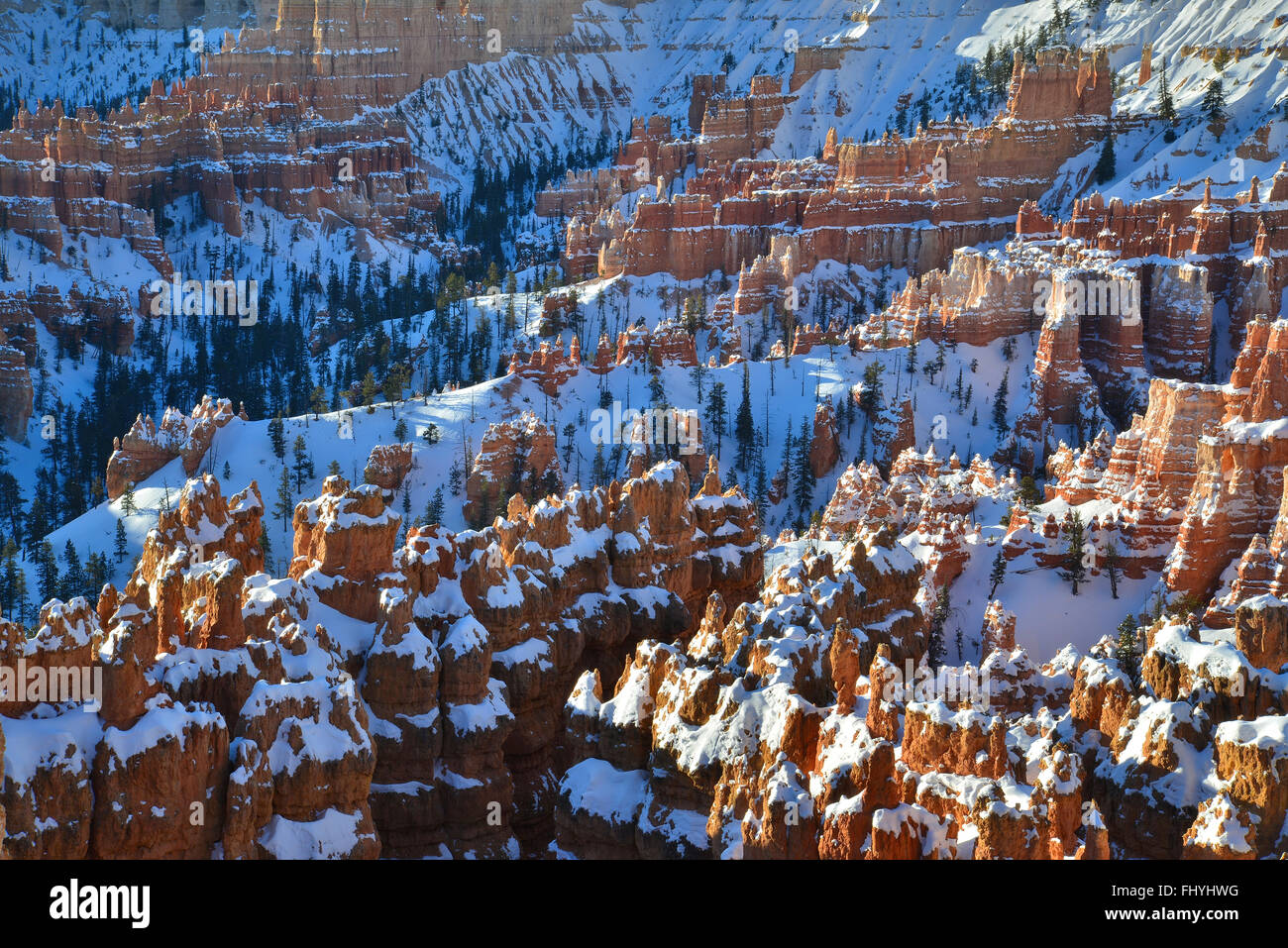 Coperta di neve hoodoos nella città silenziosa come visto da Rim Trail ad ovest del punto di tramonto nel Parco Nazionale di Bryce Canyon dello Utah Foto Stock