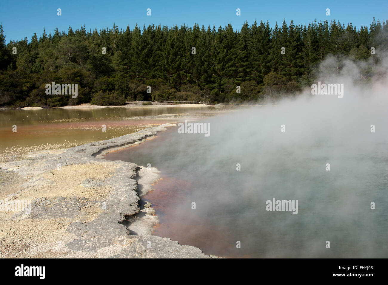 Lo Champagne è in piscina con 65 metri di diametro e 62 metri di profondità il più grande molla in Nuova Zelanda Wai-O-Tapu zona termale. Foto Stock