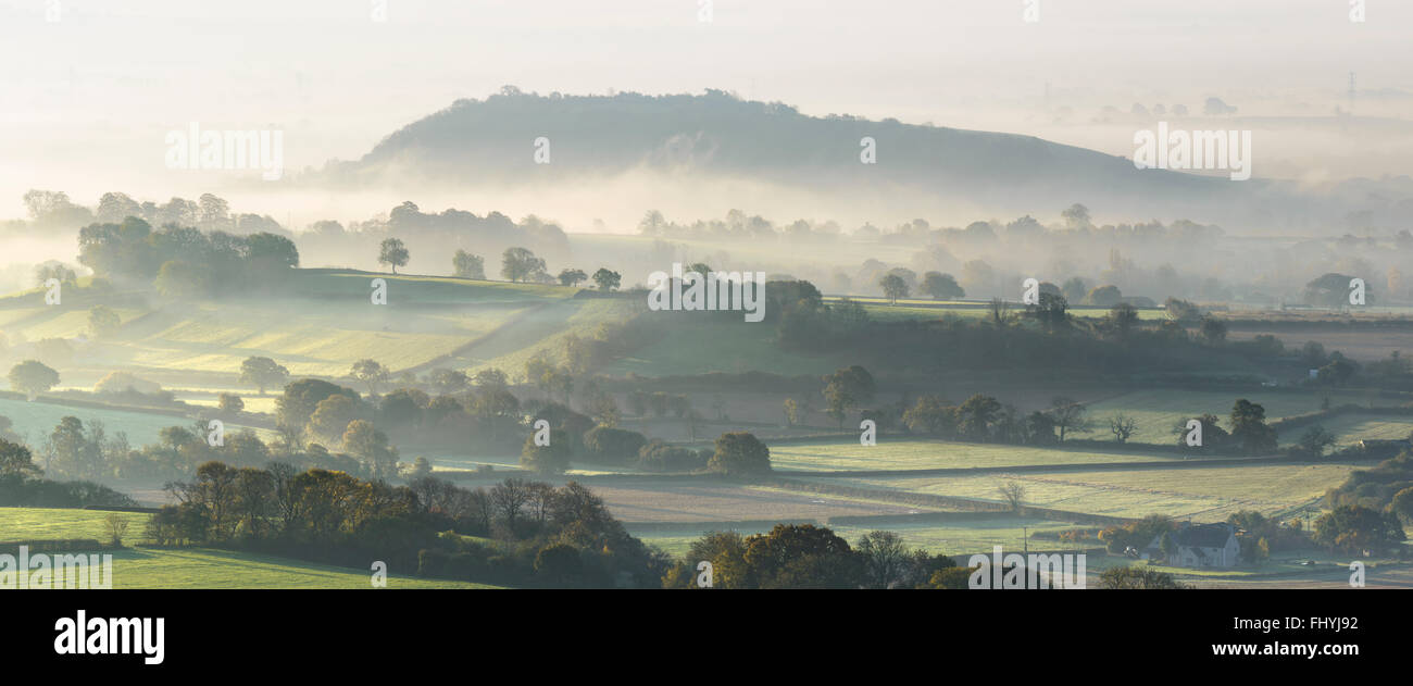 Nebbia avvolta campi circostanti Hay Hill in Somerset livelli. Foto Stock