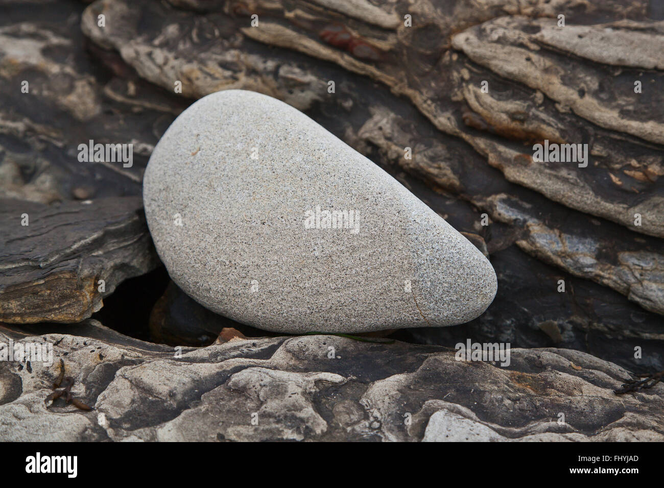 Le formazioni rocciose sono un oggetto preferito a Weston Beach - punto Lobos State Park, California Foto Stock