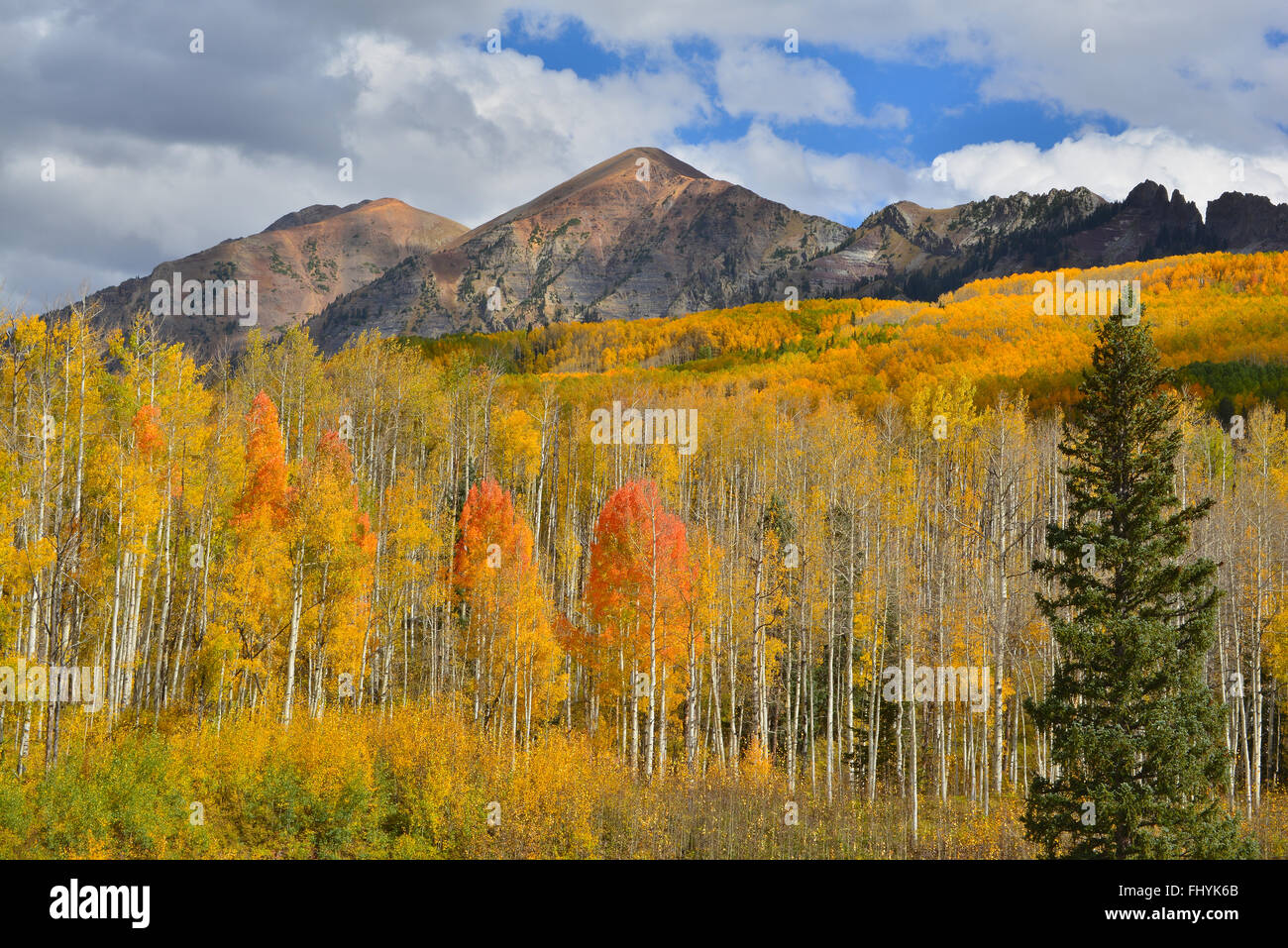 I colori dell'autunno a Kebler passare ad ovest del Crested Butte, Colorado Foto Stock