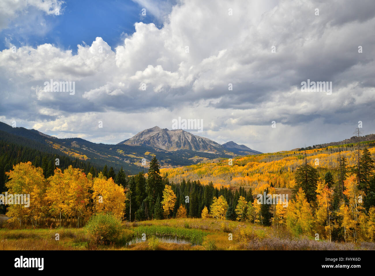 I colori dell'autunno a Kebler passare ad ovest del Crested Butte, Colorado Foto Stock