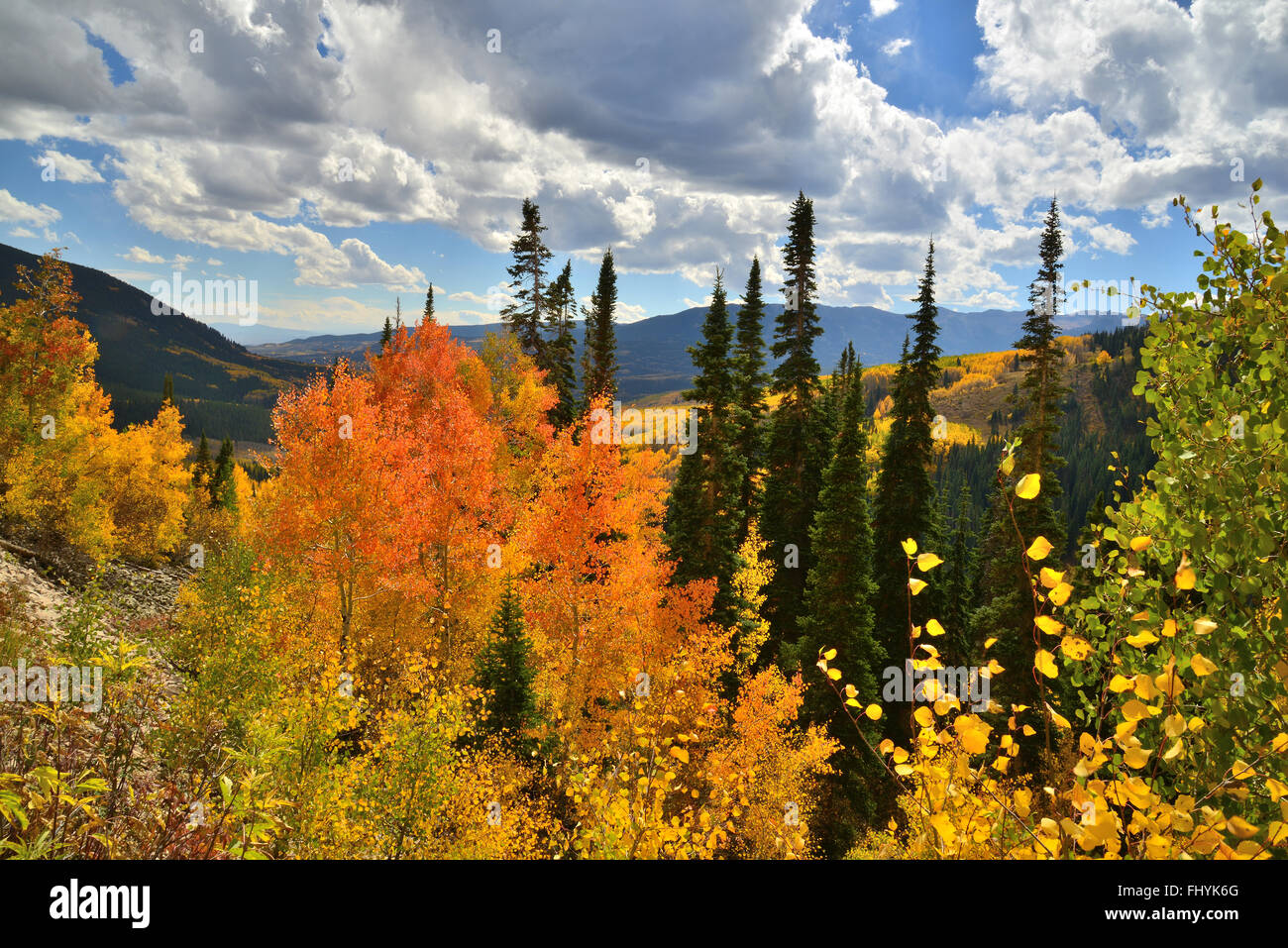 I colori dell'Autunno lungo la strada forestale 730 alla Ohio passano vicino a Crested Butte, Colorado Foto Stock