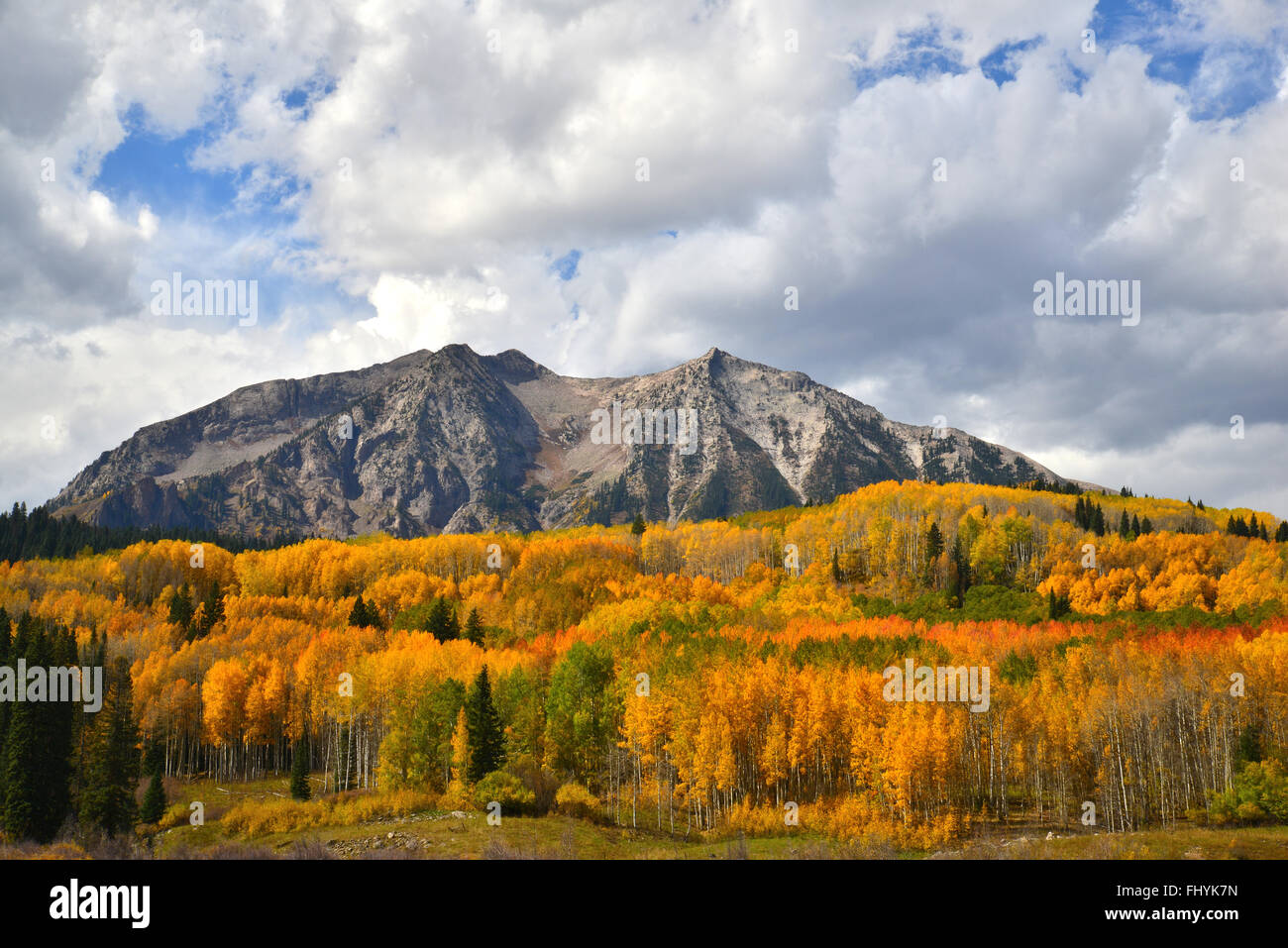 I colori dell'autunno a Kebler passare ad ovest del Crested Butte, Colorado Foto Stock