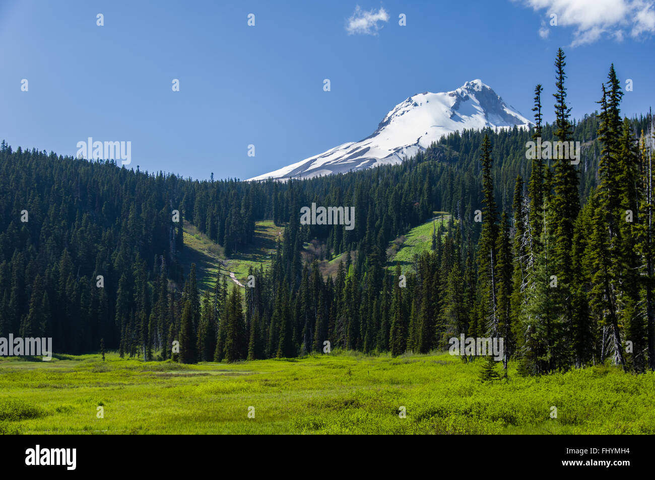 Vista del Monte Cofano dall'Elk prati sentiero area Foto Stock