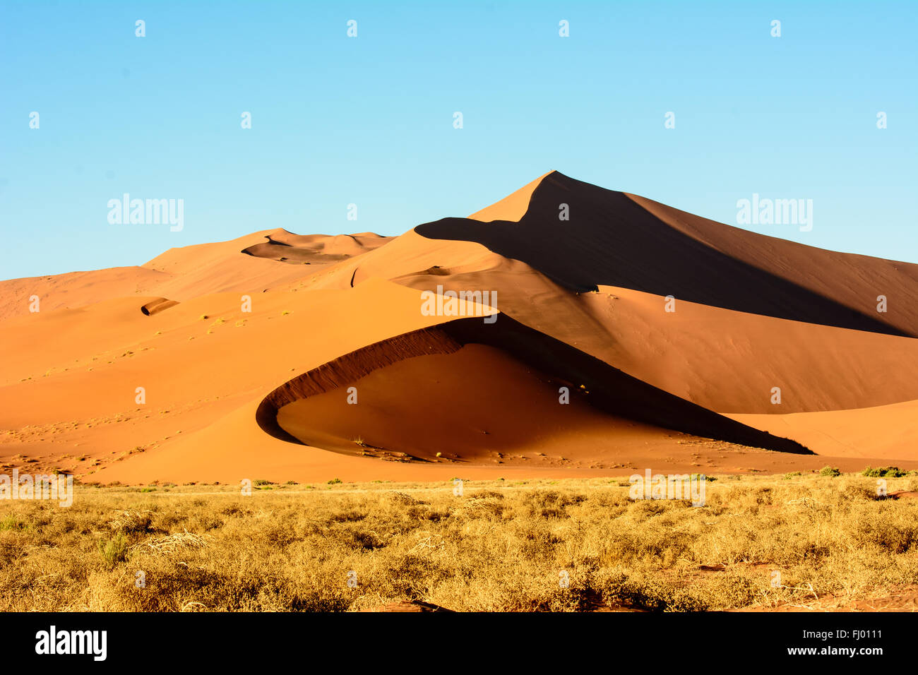 Uno scenario mozzafiato del deserto del Namib Foto Stock