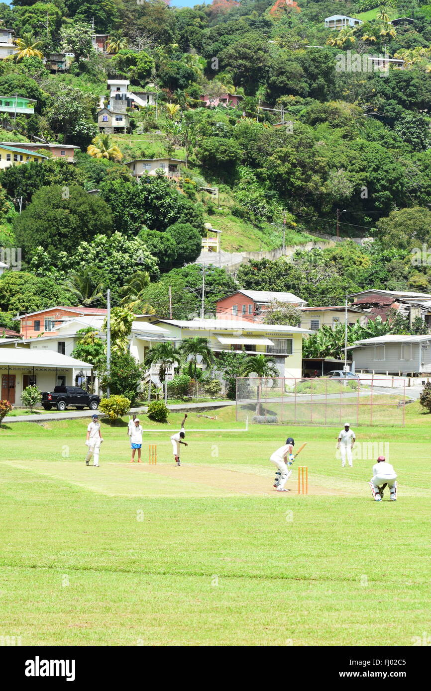 Una partita di cricket in uno dei più pittoreschi giardini nel mondo, Charlotteville, Tobago. Foto Stock