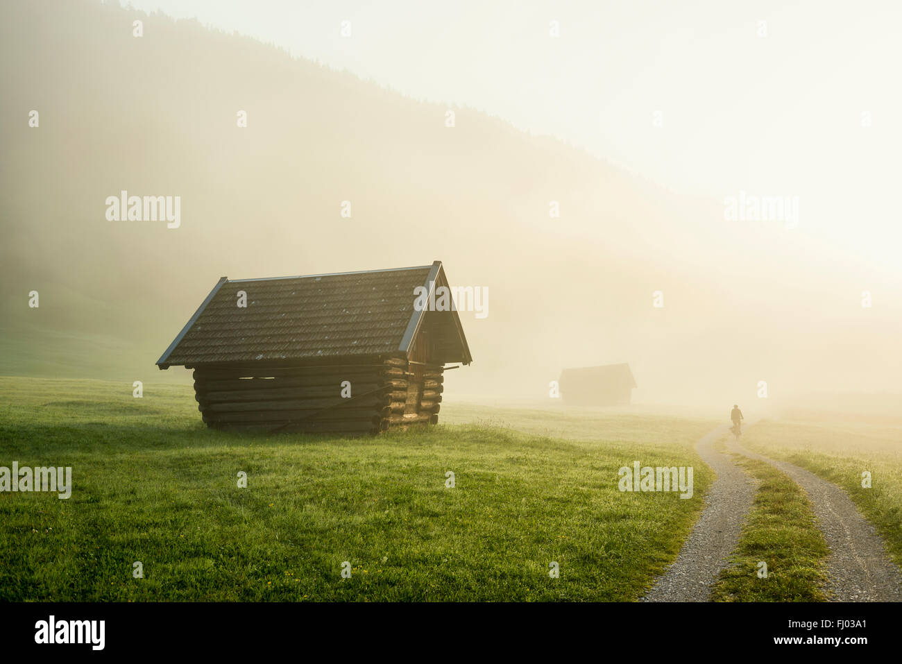 Sunrise e la nebbia di mattina, prato, Krün vicino a Mittenwald, Werdenfelser Land, Alta Baviera, Baviera, Germania Foto Stock