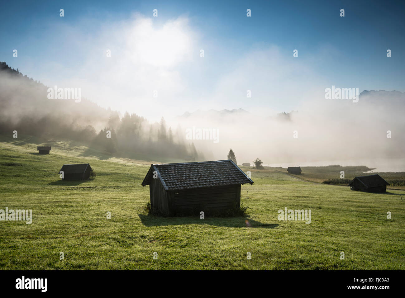 Sunrise e la nebbia di mattina, prato, Geroldsee o Wagenbrüchsee, Krün vicino a Mittenwald, Werdenfelser Land, Alta Baviera, Baviera Foto Stock