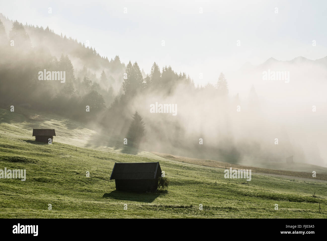 Sunrise e la nebbia di mattina, prato, Geroldsee o Wagenbrüchsee, Krün vicino a Mittenwald, Werdenfelser Land, Alta Baviera, Baviera Foto Stock